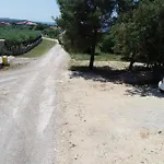 Petrovic